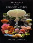 treasures-from-the-kingdom-of-fungi